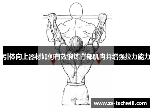 引体向上器材如何有效锻炼背部肌肉并增强拉力能力