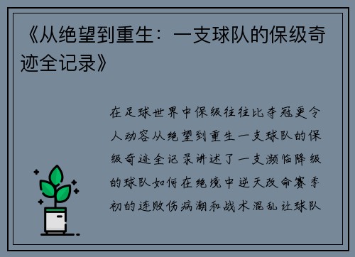 《从绝望到重生：一支球队的保级奇迹全记录》