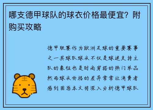 哪支德甲球队的球衣价格最便宜？附购买攻略