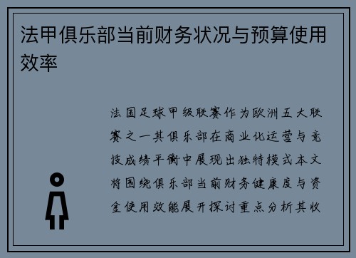 法甲俱乐部当前财务状况与预算使用效率